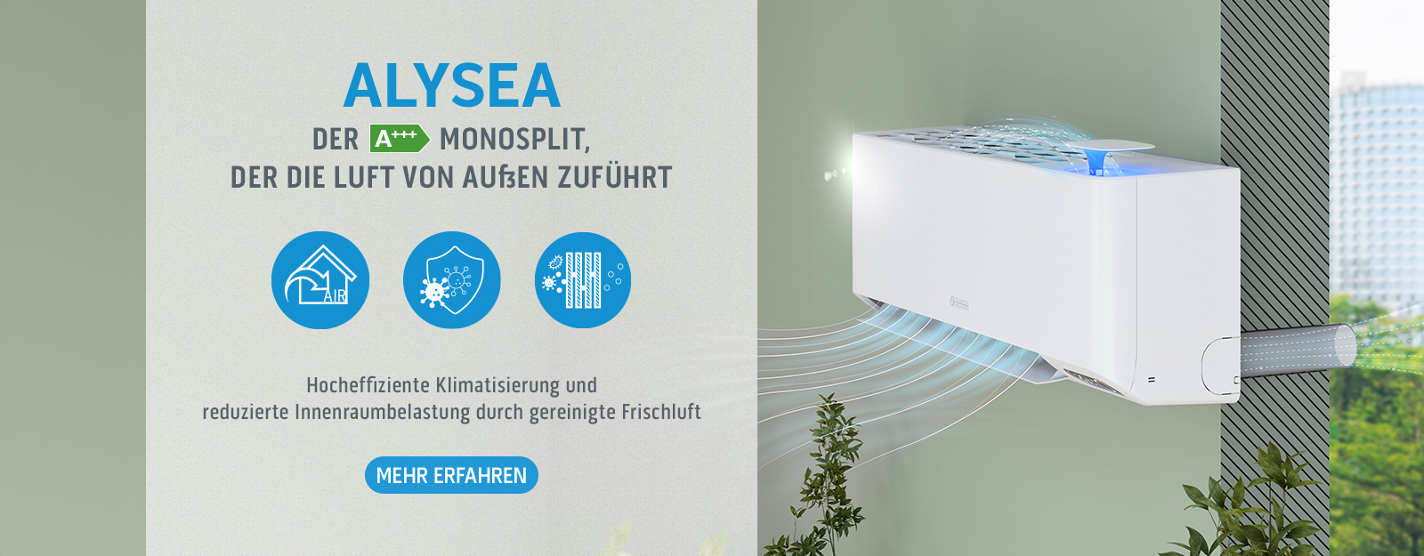 Alysea